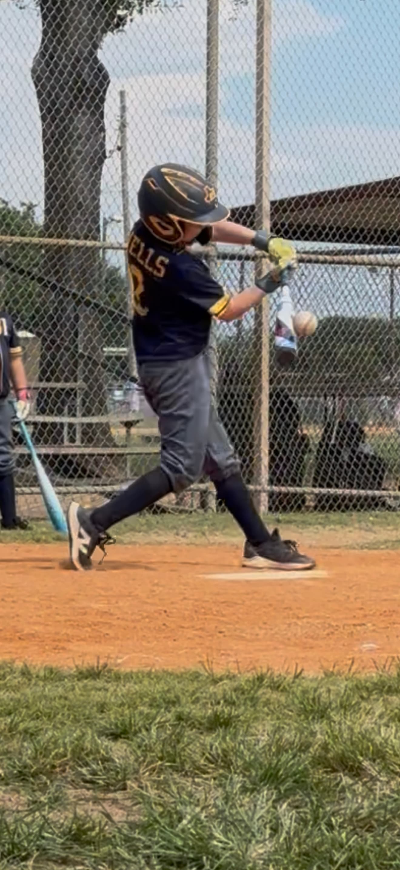 DeMarini Zen (-10) USSSA